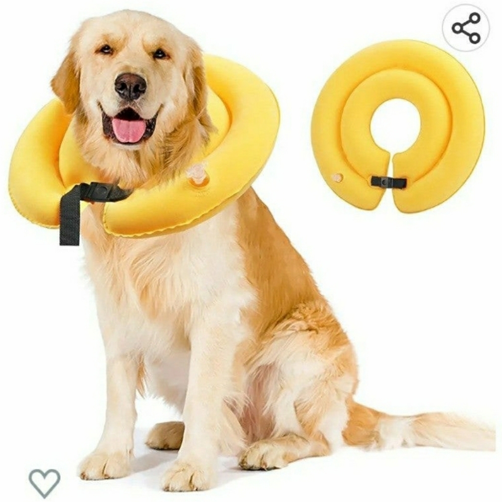 Size XL Inflatable Soft Recovery Protective Dog Cone